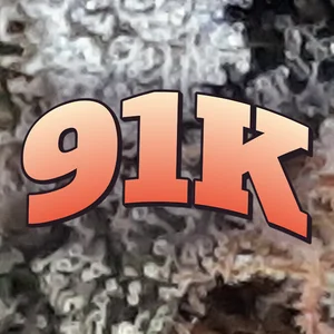 91K Cannabis Strain