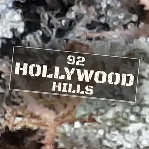 92 Hollywood Hills Cannabis Strain