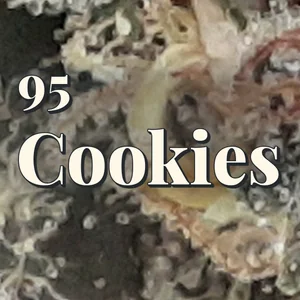 95 Cookies Cannabis Strain
