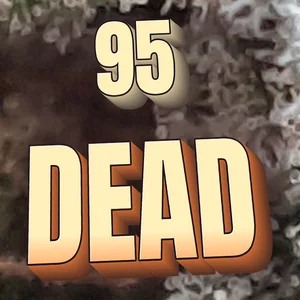 95 Dead Cannabis Strain