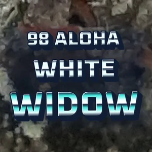 98 Aloha White Widow Cannabis Strain