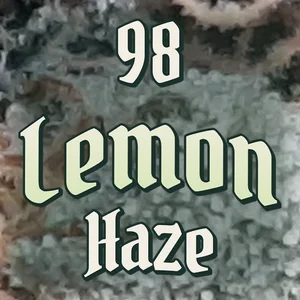 98 Lemon Haze Cannabis Strain
