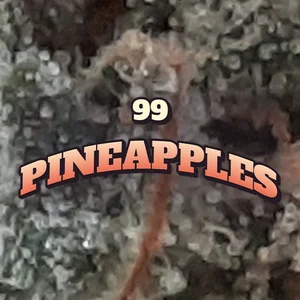99 Pineapples Cannabis Strain