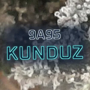 9a95 Kunduz Cannabis Strain