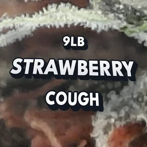 9lb Strawberry cough Cannabis Strain