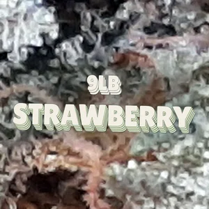 9lb Strawberry Cannabis Strain