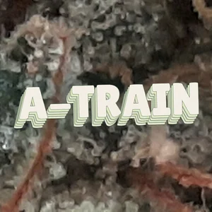 A-Train Cannabis Strain