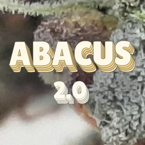 Abacus 2.0 Cannabis Strain