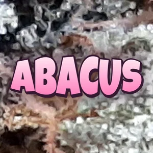 Abacus Cannabis Strain