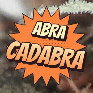 Abra Cadabra Cannabis Strain