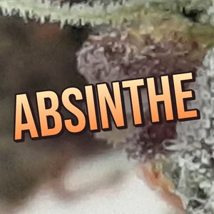 Absinthe Cannabis Strain