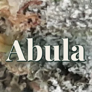 Abula Cannabis Strain
