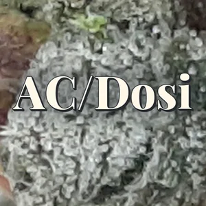 AC/Dosi Cannabis Strain