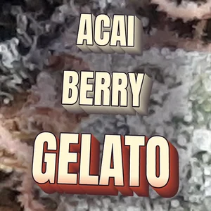 Acai Berry Gelato Cannabis Strain