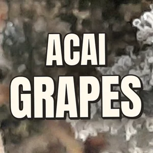 Acai Grapes Cannabis Strain