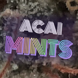 Acai Mints Cannabis Strain