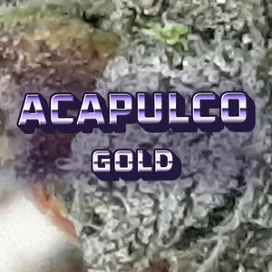 Acapulco Gold Cannabis Strain