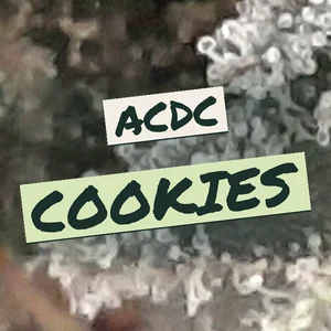ACDC Cookies Cannabis Strain