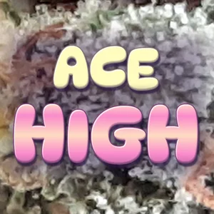 Ace High Cannabis Strain