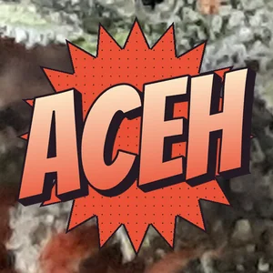 Aceh Cannabis Strain