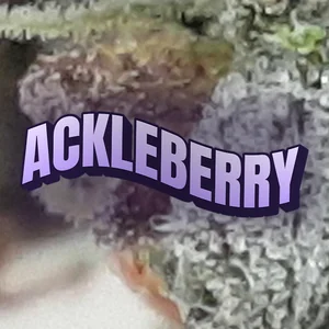 Ackleberry Cannabis Strain
