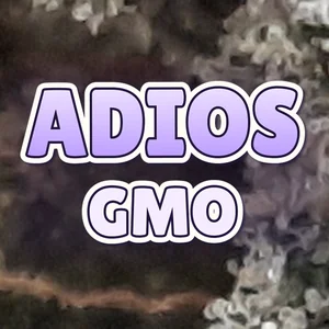 Adios GMO Cannabis Strain