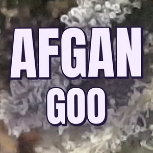 Afgan Goo Cannabis Strain