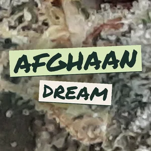 Afghaan Dream Cannabis Strain