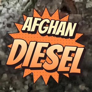 Afghan Diesel Cannabis Strain