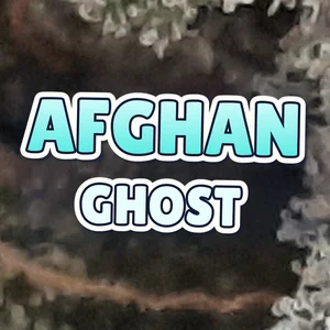 Afghan Ghost Cannabis Strain