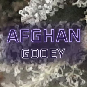 Afghan Gooey Cannabis Strain