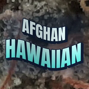 Afghan Hawaiian Cannabis Strain