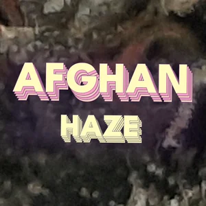 Afghan Haze Cannabis Strain