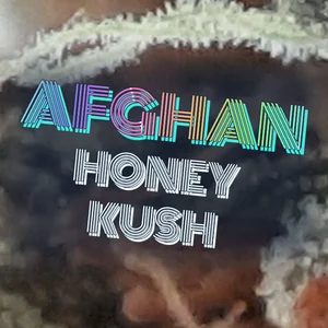 Afghan Honey Kush Cannabis Strain