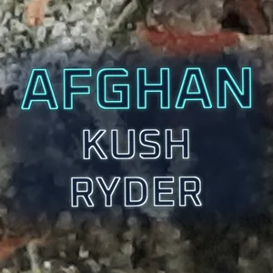 Afghan Kush Ryder Cannabis Strain