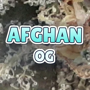 Afghan OG Cannabis Strain
