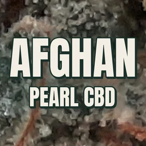 Afghan Pearl CBD Cannabis Strain