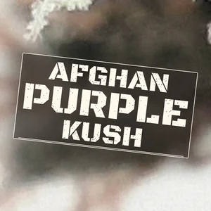 Afghan Purple Kush Cannabis Strain