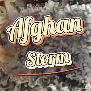 Afghan Storm Cannabis Strain