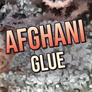 Afghani Glue Cannabis Strain