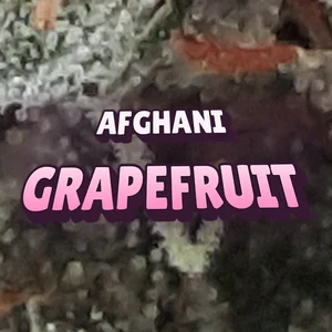 Afghani Grapefruit Cannabis Strain