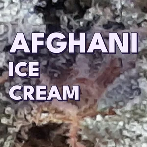 Afghani Ice Cream Cannabis Strain
