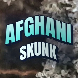 Afghani Skunk Cannabis Strain