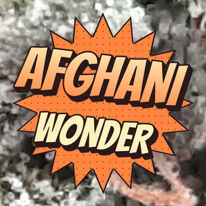 Afghani Wonder Cannabis Strain