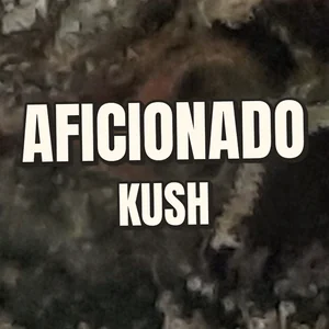 Aficionado Kush Cannabis Strain