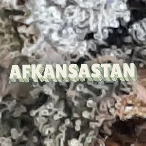 Afkansastan Cannabis Strain