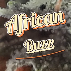 African Buzz Cannabis Strain