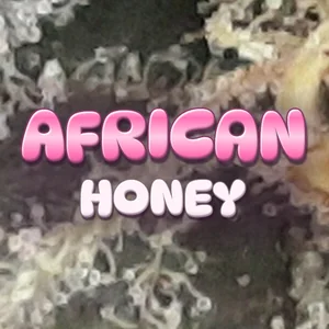 African Honey Cannabis Strain