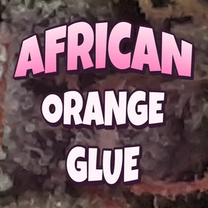 African Orange Glue Cannabis Strain