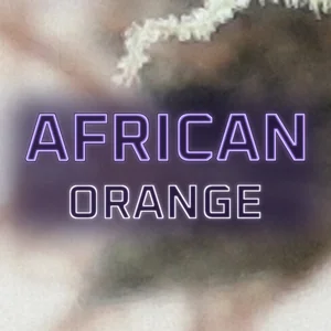African Orange Cannabis Strain